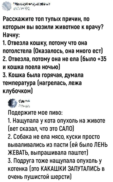 – Расскажите топ тупых причин, по которым вы возили животное к врачу?
Начну:
1. Отвезла кошку, потому что она потолстела (Оказалось, она много ест)
2. Отвезла, потому она не ела (было +35 и кошка поела ночью)
3. Кошка была горячая, думала температура (нагрелась, лежа клубочком)
– Подержите мое пиво:
1. Нащупала у кота опухоль на животе (вет сказал, что это САЛО)
2. Собака не ела мясо, куски просто вываливались из пасти (ей было ЛЕНЬ ЖЕВАТЬ, выпрашивала паштет)
3. Подруга тоже нащупала опухоль у котенка (это КАКАШКИ ЗАПУТАЛИСЬ в очень пушистой шерсти)