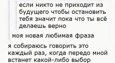 Если никто не приходит из будущего, чтобы остановить тебя, значит, пока что ты всё делаешь верно. 
Моя новая любимая фраза. 
Я собираюсь говорить это каждый раз, когда передо мной встанет какой-либо выбор.