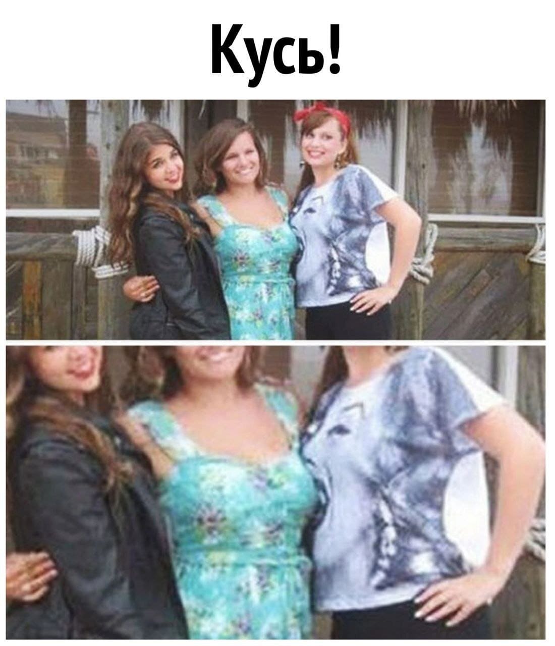 *Кусь!*