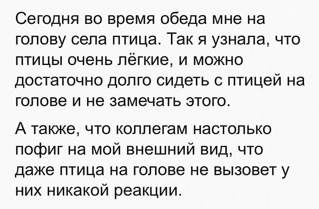 Сегодня во время обеда мне на голову села птица. Так я узнала, что птицы очень лёгкие, и можно достаточно долго сидеть с птицей на голове и не замечать этого.
А также, что коллегам настолько пофиг на мой внешний вид, что даже птица на голове не вызовет у них никакой реакции.