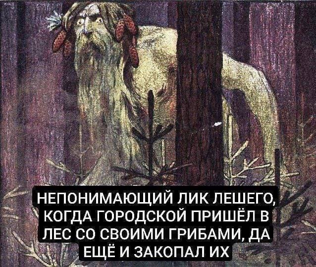 Непонимающий лик лешего, когда городской пришёл в лес со своими грибами, да ещё и закопал их.