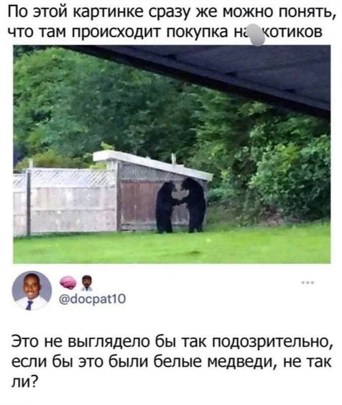 *По этой картинке сразу же можно понять, что там происходит покупка наpкотиков*
– Это не выглядело бы так подозрительно, если бы это были белые медведи, не так ли?