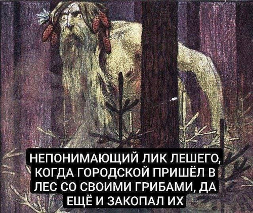 Непонимающий лик лешего, когда городской пришёл в лес со своими грибами, да ещё и закопал их.