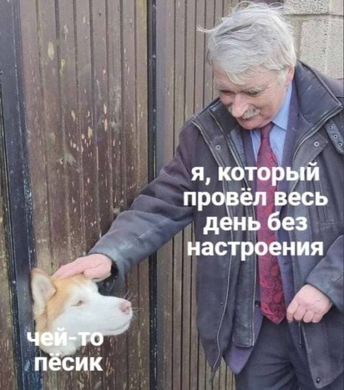 *Я, который весь день провёл без настроения и чей-то пёсик*