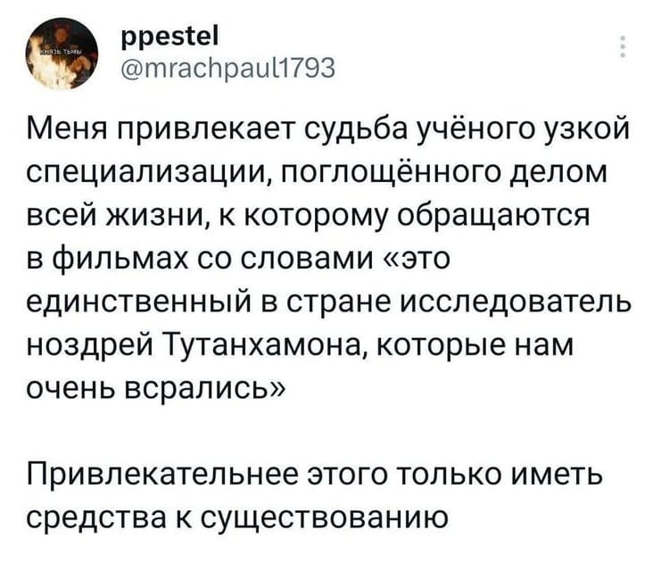 Меня привлекает судьба учёного узкой специализации, поглощённого делом всей жизни, к которому обращаются в фильмах со словами «это единственный в стране исследователь ноздрей Тутанхамона, которые нам очень всрались».
Привлекательнее этого только иметь средства к существованию.