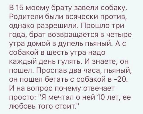 В 15 моему брату завели собаку. Родители были всячески против, однако разрешили. Прошло три года, брат возвращается в четыре утра домой в дупель пьяный. А с собакой в шесть утра надо каждый день гулять. И знаете, он пошел. Проспав два часа, пьяный, он пошел бегать с собакой в -20. И на вопрос почему отвечает просто: «Я мечтал о ней 10 лет, ее любовь того стоит.»