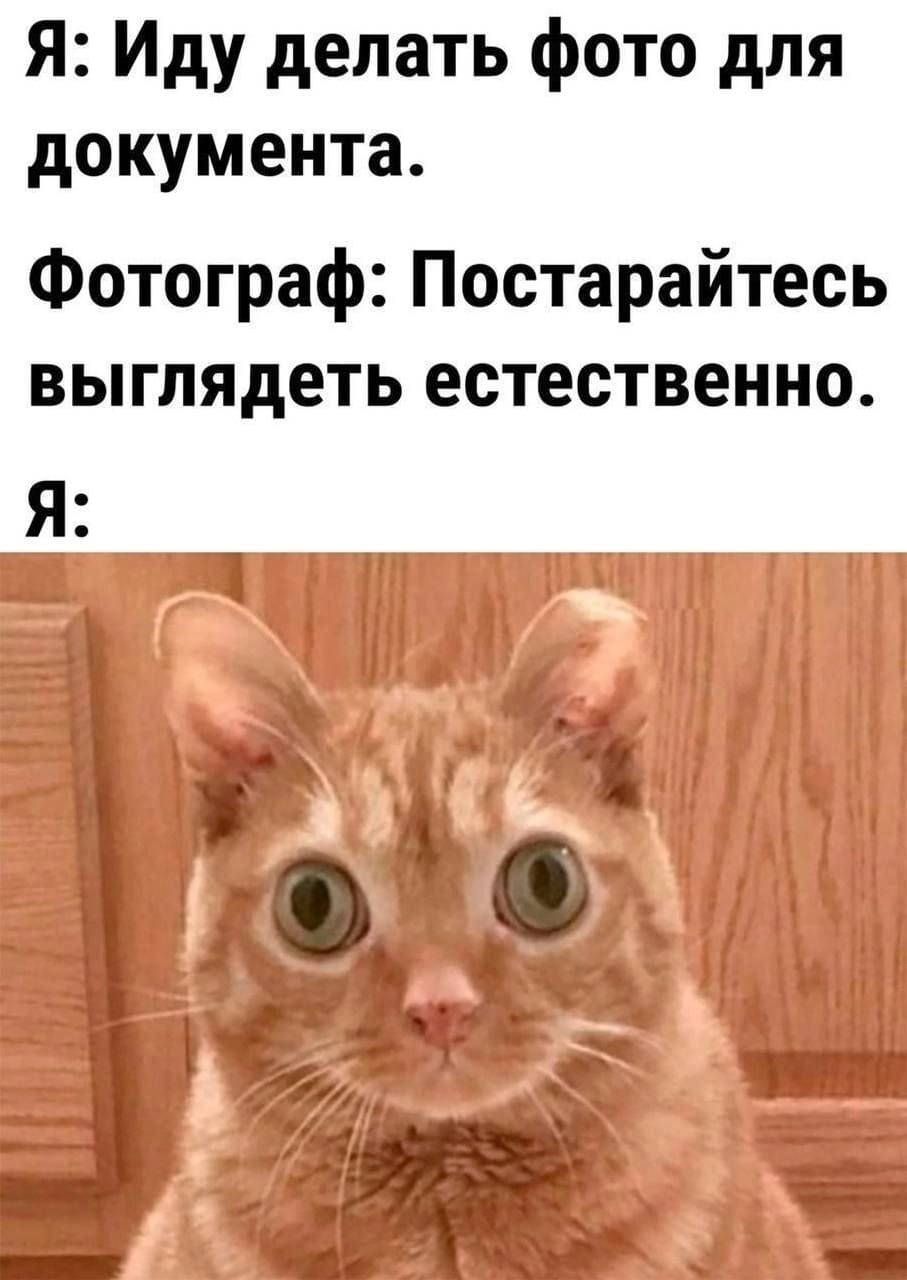 Я: Иду делать фото для документа.
Фотограф: Постарайтесь выглядеть естественно.
Я: *Выгляжу максимально естественно*