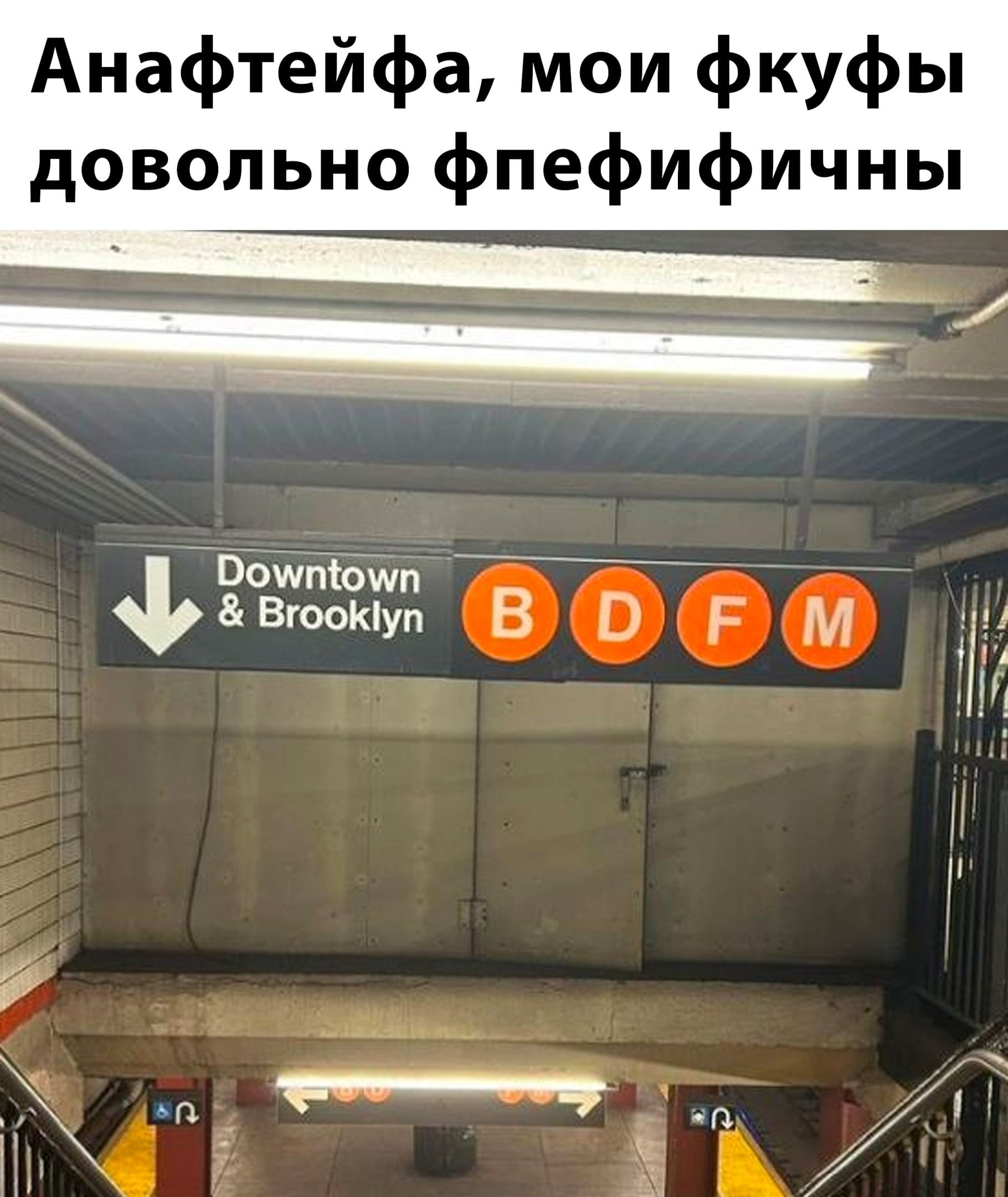 Анафтейфа, мои фкуфы довольно фпефифичны
*Downtown Brooklyn В D F M*