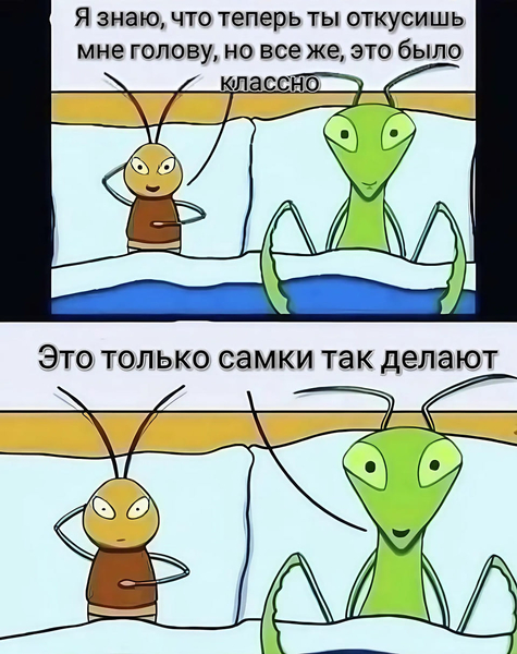 – Я знаю, что теперь ты откусишь мне голову, но всё же, это было классно.
– Это только самки так делают.