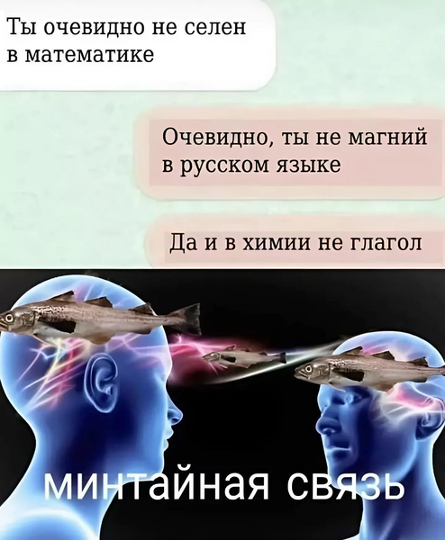 – Ты очевидно не селен в математике.
– Очевидно, ты не магний в русском языке.
– Да и в химии не глагол.
*Минтайная связь*