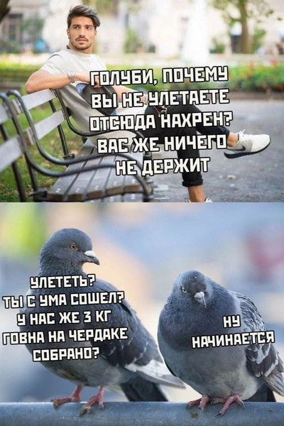 – Голуби, почему вы не улетаете отсюда нахрен? Вас же ничего не держит!
– Улететь? Ты с ума сошёл? У нас 3 килограмма говна на чердаке собрано?
– Ну начинается...