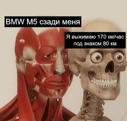 *BMW M5 сзади меня*
*Я выжимаю 170 км/час под знаком 80 км*