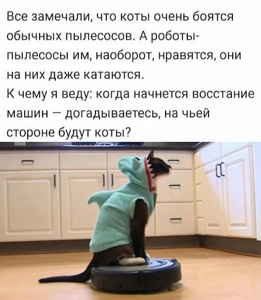 Все замечали, что коты очень боятся обычных пылесосов. А роботы-пылесосы им, наоборот, нравятся, они на них даже катаются.
К чему я веду: когда начнется восстание машин - догадываетесь, на чьей стороне будут коты?