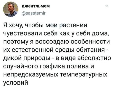 Я хочу, чтобы мои растения чувствовали себя как у себя дома, поэтому я воссоздаю особенности их естественной среды обитания – дикой природы – в виде абсолютно случайного графика полива и непредсказуемых температурных условий.