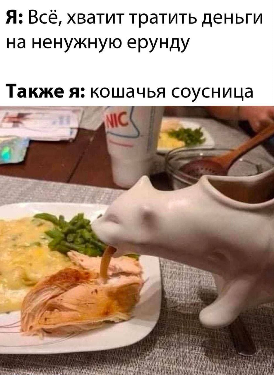 Я: Всё, хватит тратить деньги на ненужную ерунду
Также я: *кошачья соусница*