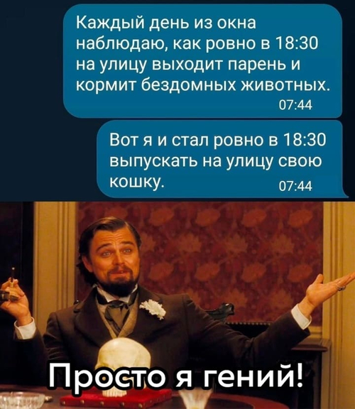 Каждый день из окна наблюдаю, как ровно в 18:30 на улицу выходит парень и кормит бездомных животных. Вот я и стал ровно в 18:30 выпускать на улицу свою кошку.