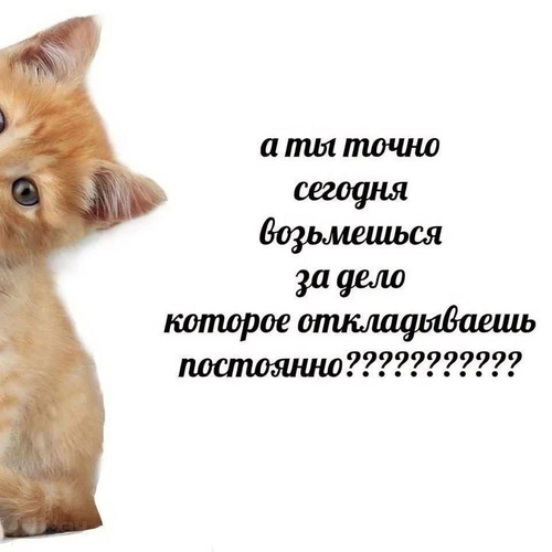 – А ты точно сегодня возьмёшься за дело, которое откладываешь постоянно?