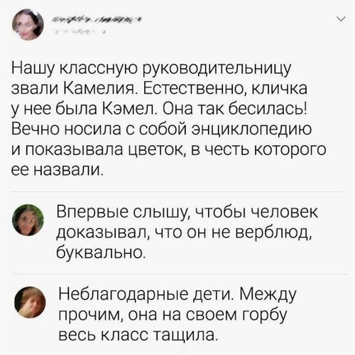 – Нашу классную руководительницу звали Камелия. Естественно, кличка у нее была Кэмел. Она так бесилась! Вечно носила с собой энциклопедию и показывала цветок, в честь которого ее назвали.
– Впервые слышу, чтобы человек доказывал, что он не верблюд, буквально.
– Неблагодарные дети. Между прочим, она на своем горбу весь класс тащила.