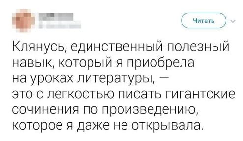 Клянусь, единственный полезный навык, который я приобрела на уроках литературы, — это с лёгкостью писать гигантские сочинения по произведению, которое я даже не открывала.