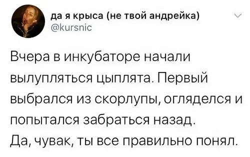 Вчера в инкубаторе начали вылупляться цыплята. Первый выбрался из скорлупы, огляделся и попытался забраться назад.
Да, чувак, ты всё правильно понял.