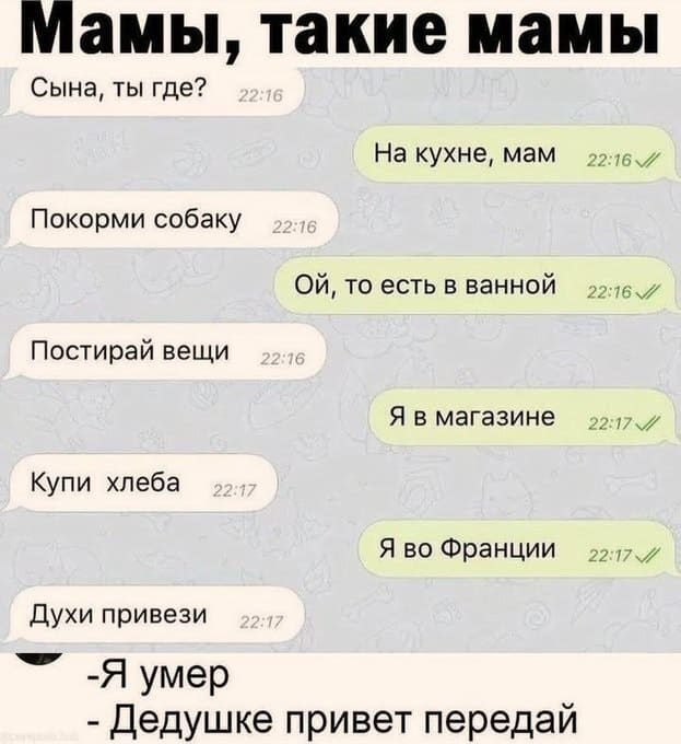 *Мамы, такие мамы*
– Сына, ты где?
– На кухне, мам.
– Покорми собаку.
– Ой, то есть в ванной.
– Постирай вещи.
– Я в магазине.
– Купи хлеба.
– Я во Франции.
– Духи привези.
– Я умер.
– Дедушке привет передай.