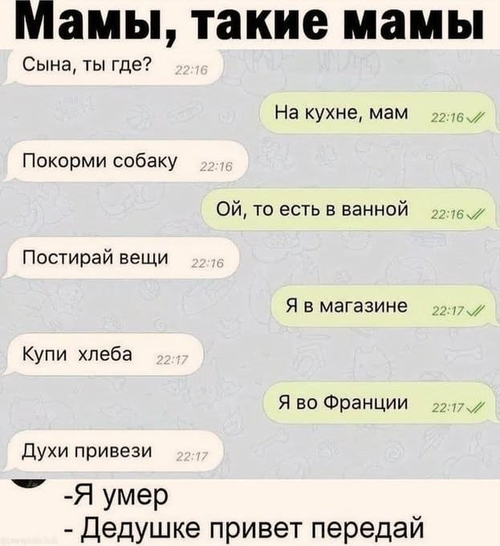 *Мамы, такие мамы*
– Сына, ты где?
– На кухне, мам.
– Покорми собаку.
– Ой, то есть в ванной.
– Постирай вещи.
– Я в магазине.
– Купи хлеба.
– Я во Франции.
– Духи привези.
– Я умер.
– Дедушке привет передай.