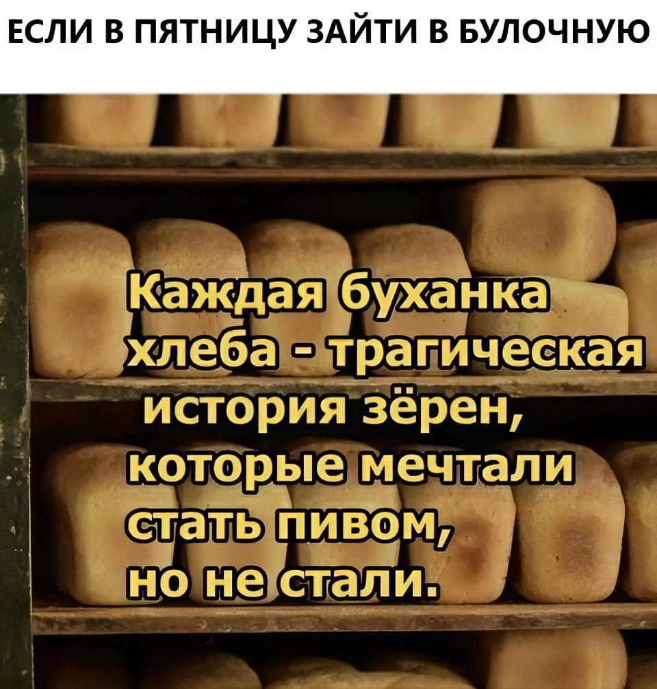 *ЕСЛИ В ПЯТНИЦУ ЗАЙТИ В БУЛОЧНУЮ*
Каждая буханка хлеба — трагическая история зёрен, которые мечтали стать пивом, но не стали.