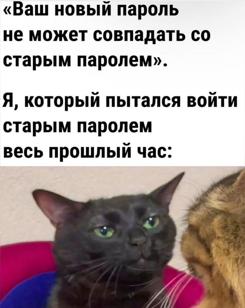 «Ваш новый пароль не может совпадать со старым паролем».
*Я, который пытался войти старым паролем весь прошлый час*