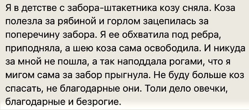 Я в детстве с забора-штакетника козу сняла. Коза полезла за рябиной и горлом зацепилась за поперечину забора. Я ее обхватила под ребра, приподняла, а шею коза сама освободила. И никуда за мной не пошла, а так наподдала рогами, что я мигом сама за забор прыгнула. Не буду больше коз спасать, не благодарные они. Толи дело овечки, благодарные и безрогие.