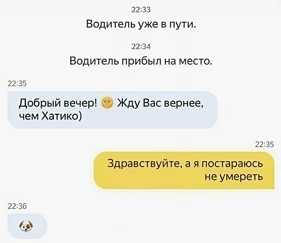 *Водитель уже в пути*
*Водитель прибыл на место*
– Добрый вечер! Жду Вас вернее, чем Хатико)
– Здравствуйте, а я постараюсь не умереть.