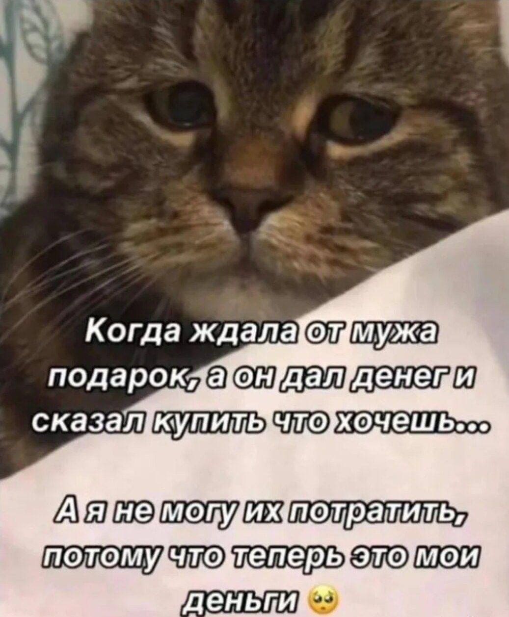 Когда ждала от мужа подарок, а он дал денег и сказал купить что хочешь...
А я не могу их потратить, потому что теперь это мои деньги...