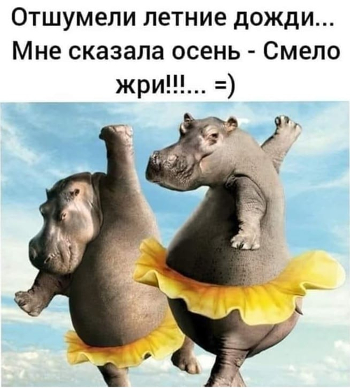 Отшумели летние дожди... Мне сказала осень — Смело жри!!!...