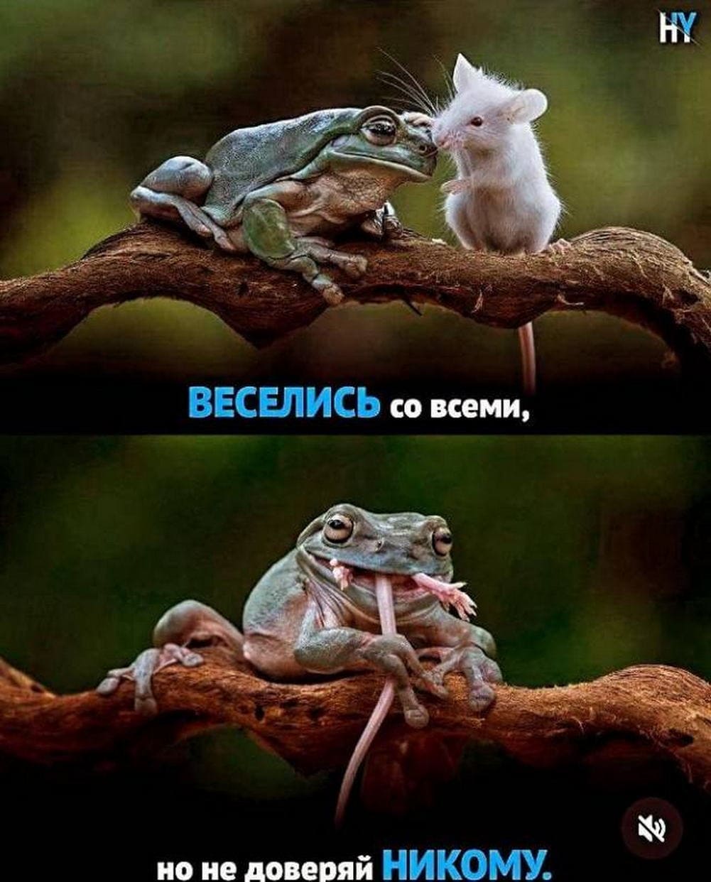 *Веселись со всеми, но не доверяй никому*