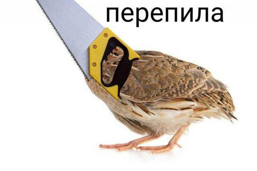 *Как выглядит ПЕРЕПИЛА*