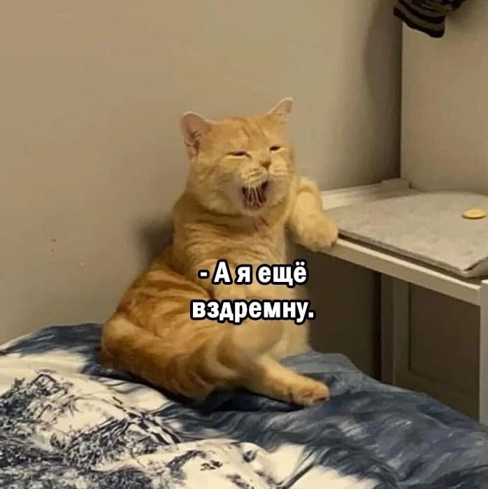 – А я ещё вздремну.