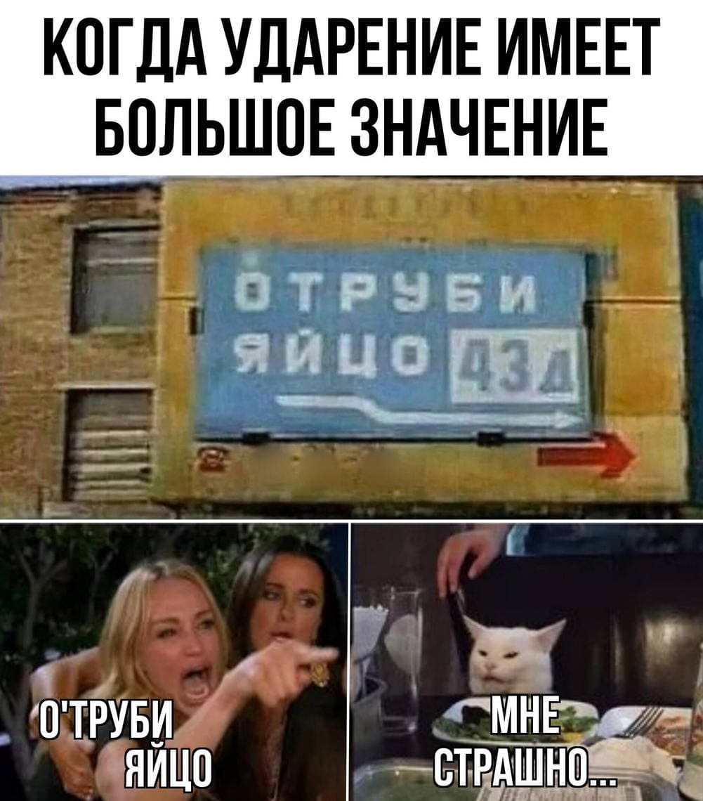 *КОГДА УДАРЕНИЕ ИМЕЕТ БОЛЬШОЕ ЗНАЧЕНИЕ*
*Отруби яйцо*