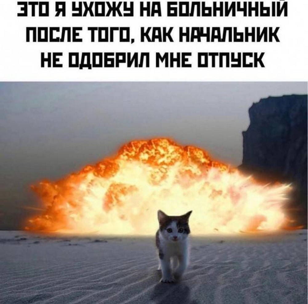 *Это я выхожу на больничный после того, как начальник не одобрил мне отпуск*