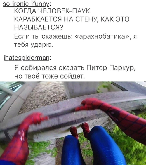 so-ironic-ifunny:
КОГДА ЧЕЛОВЕК-ПАУК КАРАБКАЕТСЯ НА СТЕНУ, КАК ЭТО НАЗЫВАЕТСЯ?
Если ты скажешь: «арахнобатика», я тебя ударю.
ihatespiderman:
Я собирался сказать Питер Паркур, но твоё тоже сойдет.