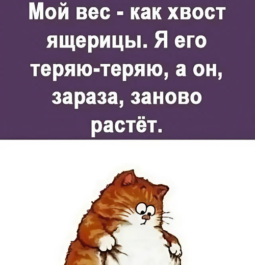 Мой вес — как хвост ящерицы. Я его теряю-теряю, а он, зараза, заново растёт.