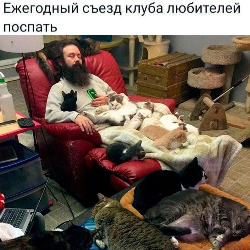 *Ежегодный съезд клуба любителей поспать*