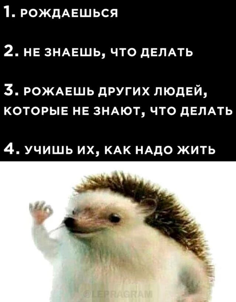 1. Рождаешься;
2. Не знаешь, что делать;
3. Рожаешь других людей, которые не знают, что делать;
4. Учишь их, как надо жить.