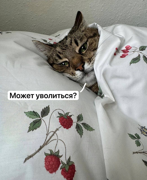 Может уволиться?