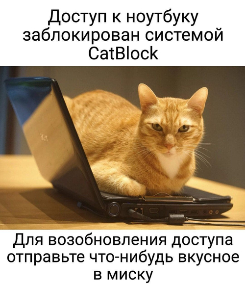 Доступ к ноутбуку заблокирован системой CatBlock.
Для возобновления доступа отправьте что-нибудь вкусное в миску.