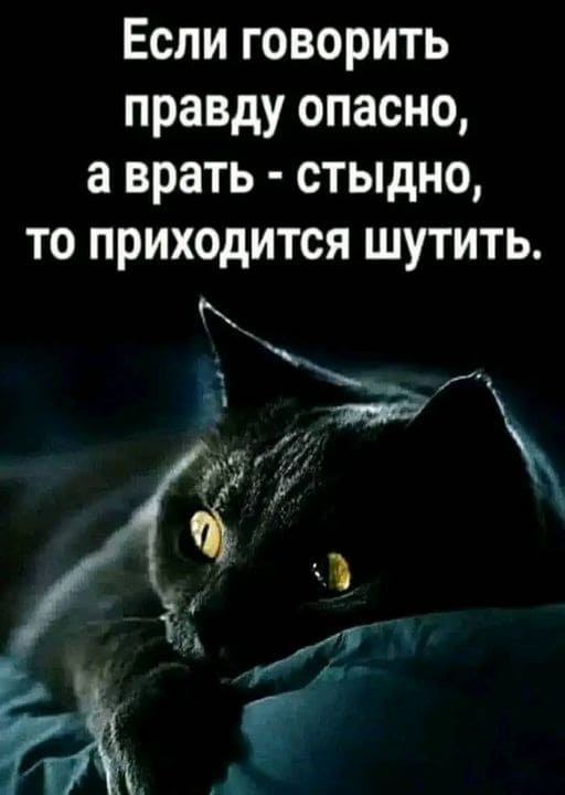 Если говорить правду опасно, а врать — стыдно, то приходится шутить.