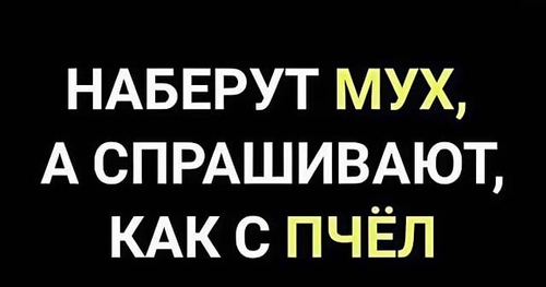 *НАБЕРУТ МУХ, А СПРАШИВАЮТ, КАК С ПЧЁЛ*