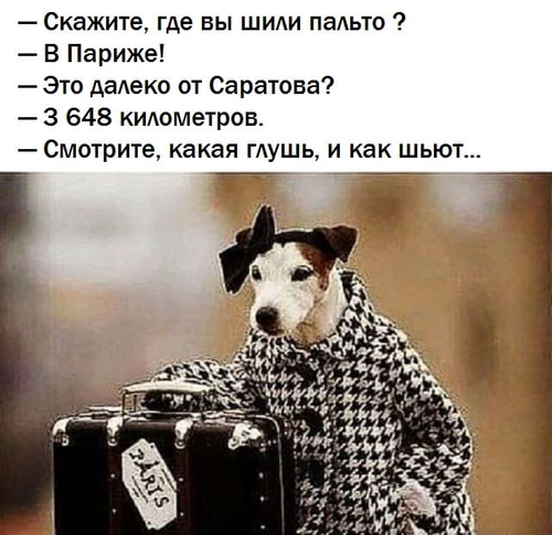 – Скажите, где вы шили пальто ?
– В Париже!
– Это далеко от Саратова?
– 3 648 километров.
– Смотрите, какая глушь, и как шьют...