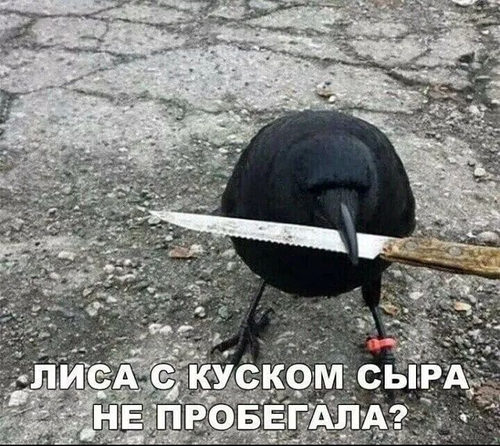 *Лиса с куском сыра не пробегала?*