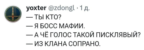 – Ты кто? – Я босс мафии. – А чё голос такой писклявый? – Из клана Сопрано.