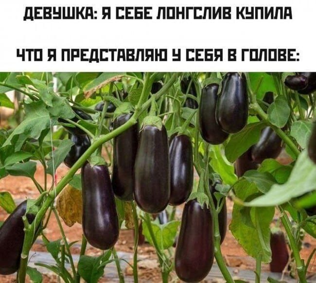 ДЕВУШКА: Я СЕБЕ ЛОНГСЛИВ КУПИЛА.
*ЧТО Я ПРЕДСТАВЛЯЮ У СЕБЯ В ГОЛОВЕ*