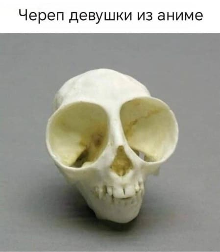 *Череп девушки из аниме*